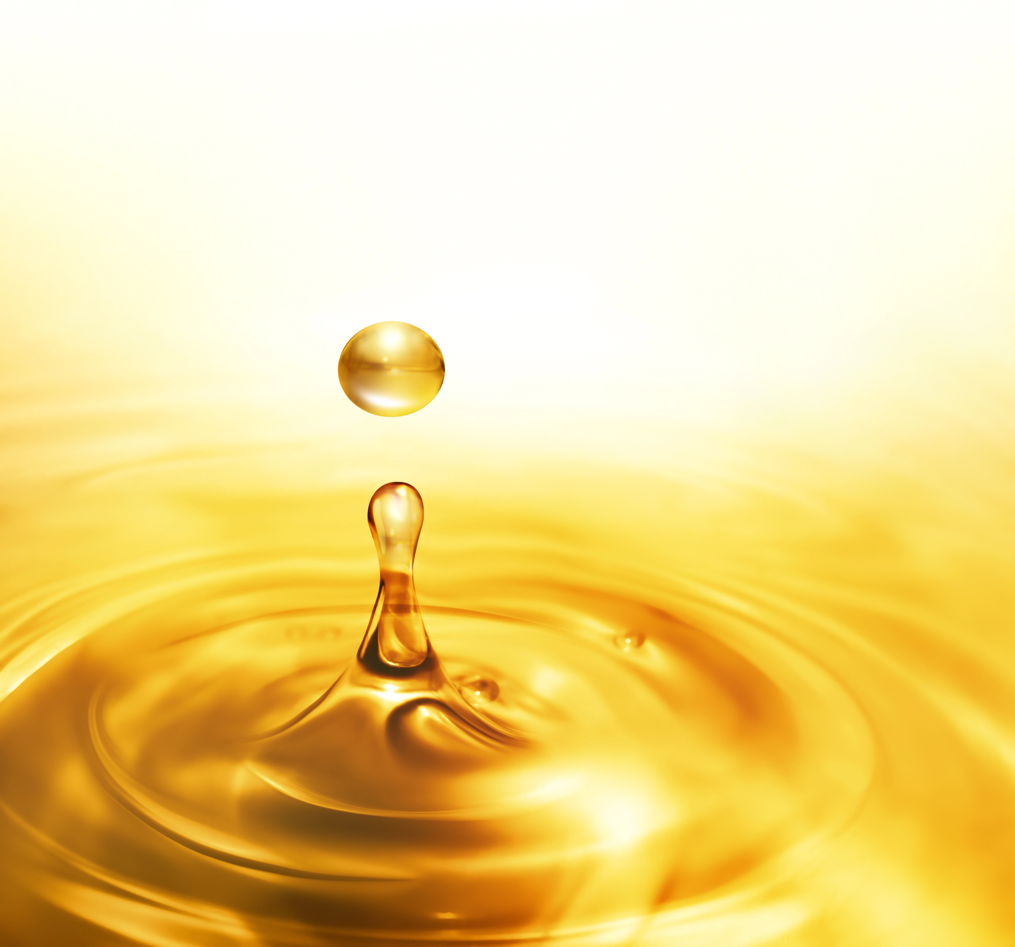 Impact of oil pollution on environment